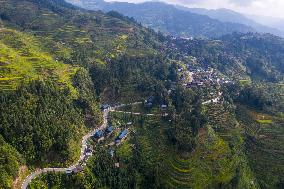 Winding Rural Road