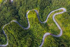 Winding Rural Road