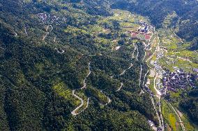 Winding Rural Road