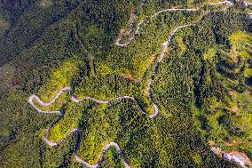 Winding Rural Road