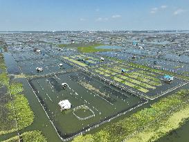 A Hairy Crab Breeding Area in Kunshan