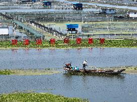 A Hairy Crab Breeding Area in Kunshan