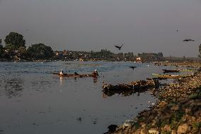 Daily Life In Kashmir