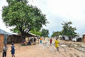 CAMEROON-REFUGEE CAMP-TREES