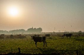 New Heat Record In The Netherlands