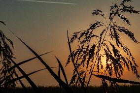 New Heat Record In The Netherlands