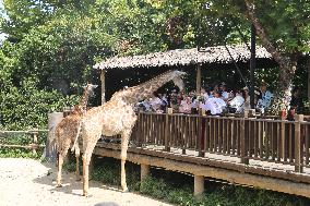 Shanghai Wild Animal Park
