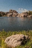 Custer State Park