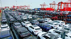 New Energy Vehicle Exports Growth in Taicang Port