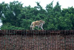 INDIA-NEW DELHI-DAILY LIFE