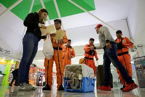 Topos Azteca (Mexican Rescuers) Travel To Morocco After Earthquake
