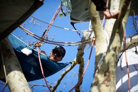 11th Day Of Hunger Strike For Thomas Brail, Arborist-climber, Against The Planned A69 Highway