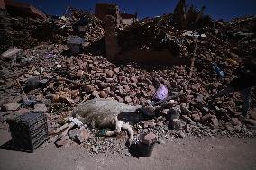 Earthquake Death Toll Rises To More Than 2600 - Morocco