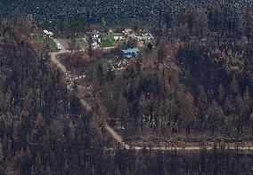 Bush Creek East Wildfire Aftermath - Canada