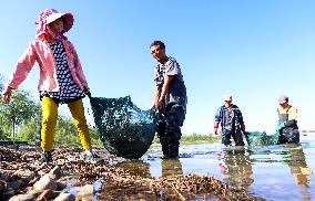 Hairy Crab Farming in Zhangye