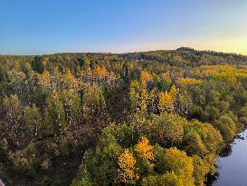 Autumn Scenery in Mohe