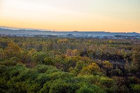 Autumn Scenery in Mohe