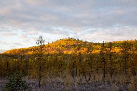 Autumn Scenery in Mohe