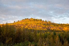 Autumn Scenery in Mohe