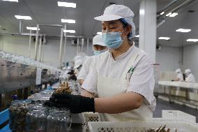 China Manufacturing Industry Prefabricated Dishes