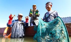 Hairy Crab Farming in Zhangye