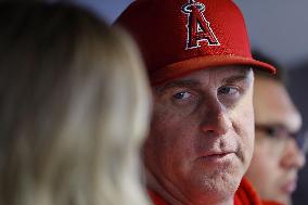 Baseball: Angels Manager Phil Nevin