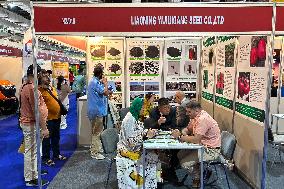 EGYPT-CAIRO-AGRICULTURAL EXPO-CHINESE PAVILION