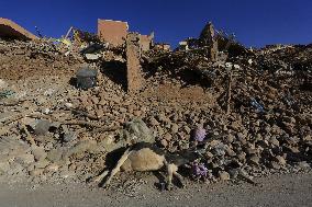 Over 2900 Killed In Rare Powerful Quake - Morocco