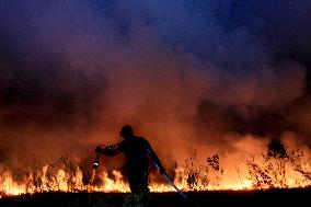 INDONESIA-SOUTH SUMATRA-PEATLAND FIRE