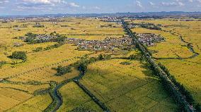 CHINA-JILIN-WANCHANG-PADDY FIELDS-AUTUMN HARVEST (CN)