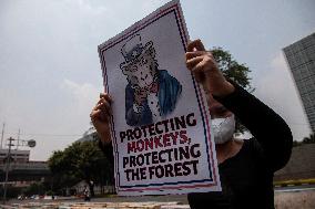 Activist Protest Against Monkey Trafficking