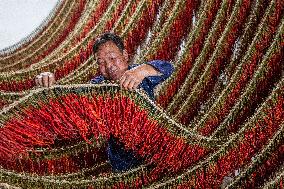 Chili Industry in Bijie, China