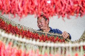 Chili Industry in Bijie, China
