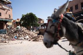 Tourism In The City Center After The Earthquake - Marrakesh
