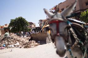 Tourism In The City Center After The Earthquake - Marrakesh