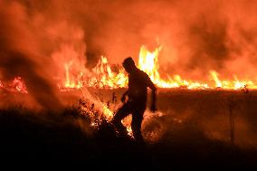 Peatland Fire In South Sumatra