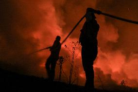 Peatland Fire In South Sumatra