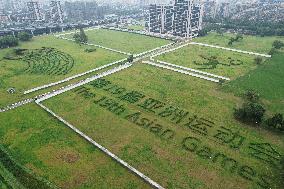 Giant Green Plant Asian Games Emblem Unveiled in Hangzhou