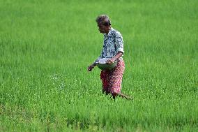 Daily Life In India