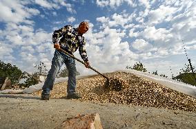 Agricultural enterprise near Orikhiv destroyed by Russians