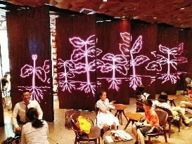 The World's Largest Starbucks Reserve Roastery in Shanghai