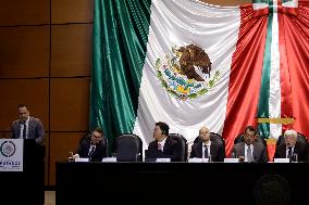 Scientists Call Fraud On Supposed Extraterrestrials Presented To Mexican Congress