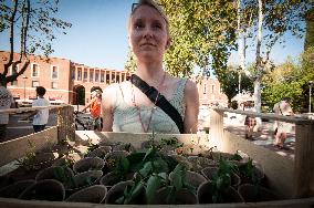 Fridays For Future In Rome