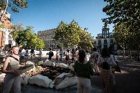 Fridays For Future In Rome