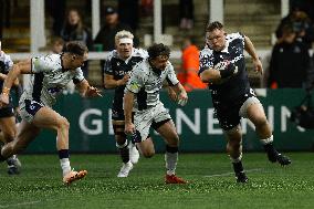 Newcastle Falcons v Bedford Blues - Premiership Rugby Cup