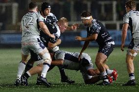 Newcastle Falcons v Bedford Blues - Premiership Rugby Cup