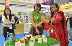 The 20th ASEAN Expo in Nanning