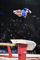 New French International Artistic Gymnastics - Paris