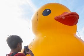 CANADA-TORONTO-GIANT RUBBER DUCK