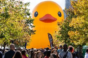 CANADA-TORONTO-GIANT RUBBER DUCK